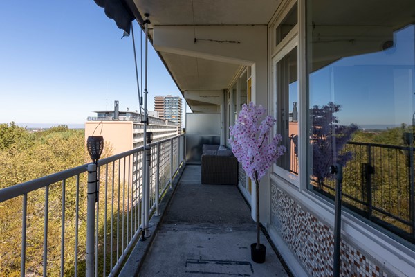 Medium property photo - Bachplein 211, 3122 KL Schiedam